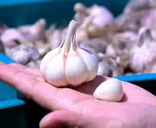 九游网页版官网-蒜泥白肉正宗的做法